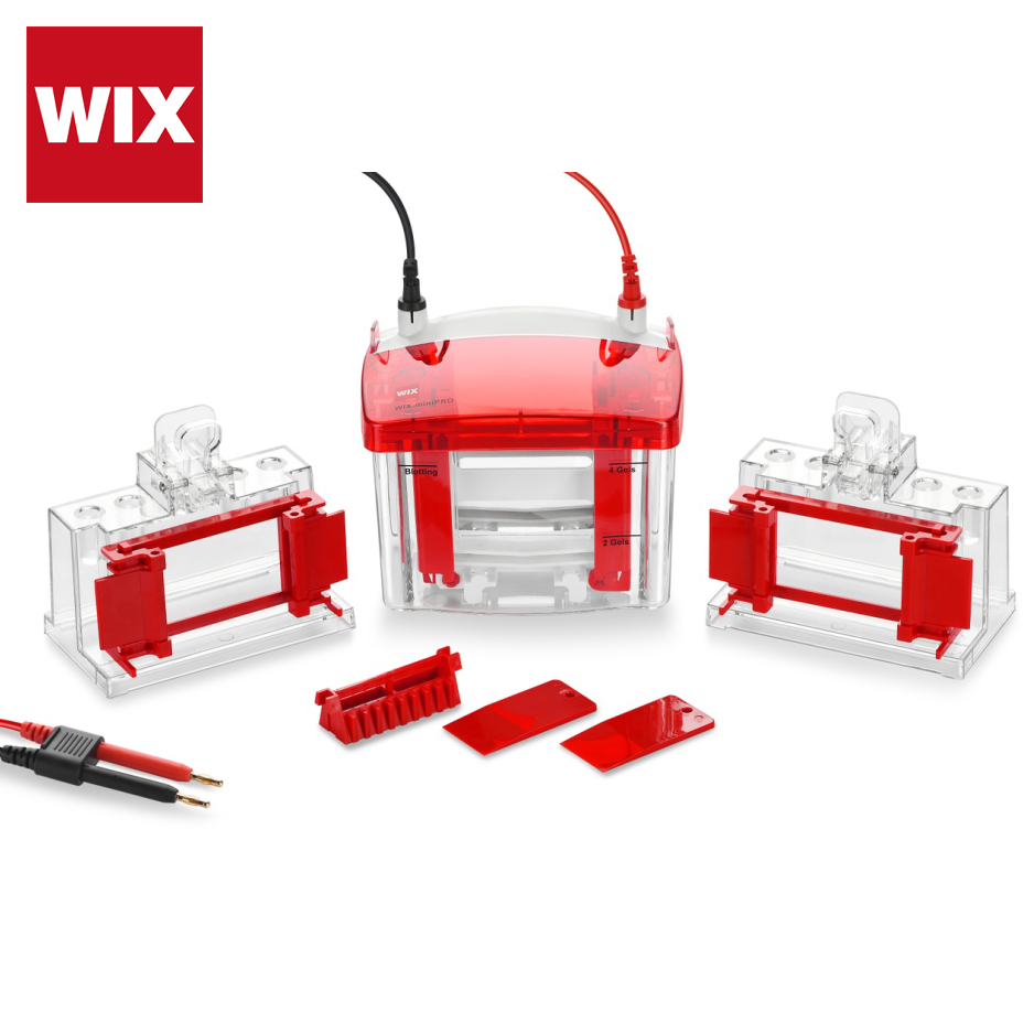 WIX-miniPRO2&nbsp;两块胶迷你垂直电泳槽