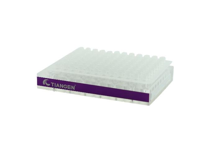 200&nbsp;µl&nbsp;PCR&nbsp;板磁力架